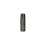 1/4 BIT T40 TORX