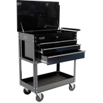 DIAGNOSE TROLLEY CUSTOM 4 LADEN